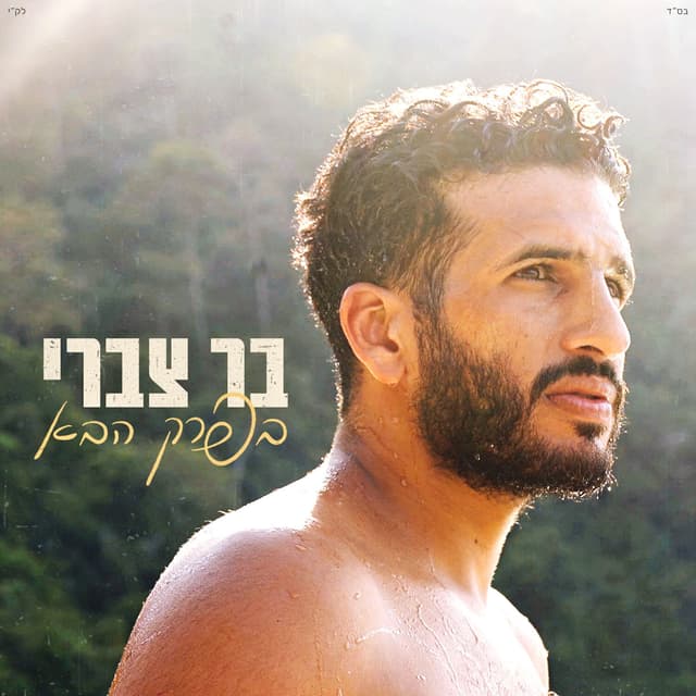 Album cover art for בפרק הבא