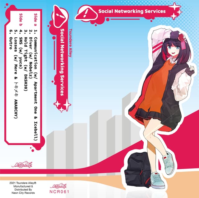 Album cover art for Social Networking Services