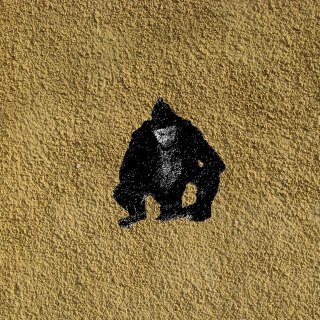 Album cover art for Tape