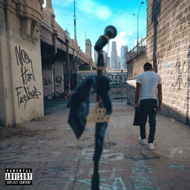 Album cover art for No Hard Feelings