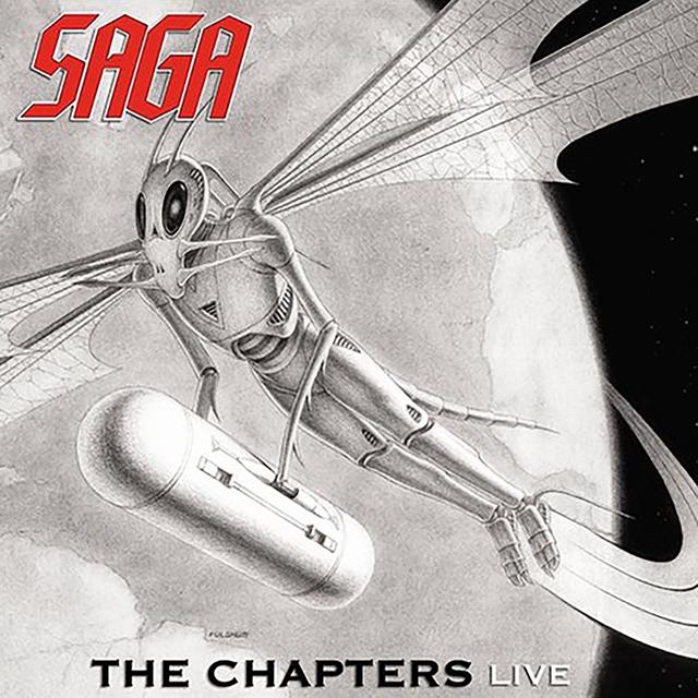 Album cover art for The Chapters Live
