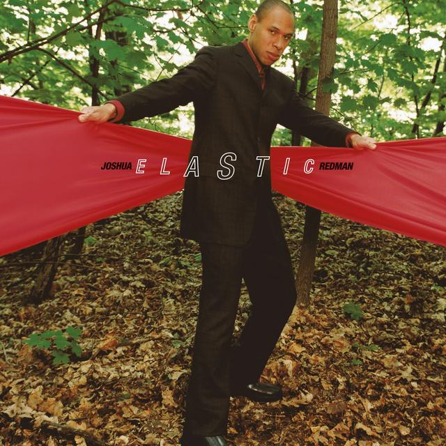 Album cover art for Elastic