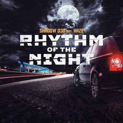 Album cover art for Rhythm Of The Night