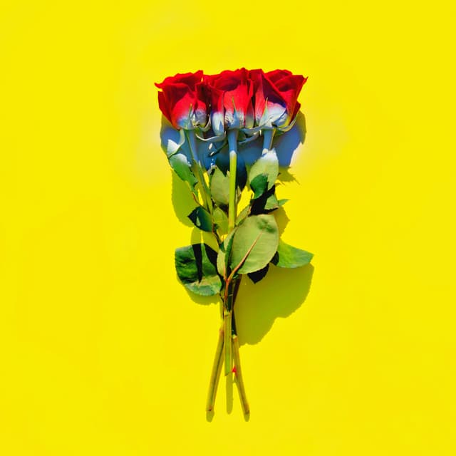Album cover art for Worried