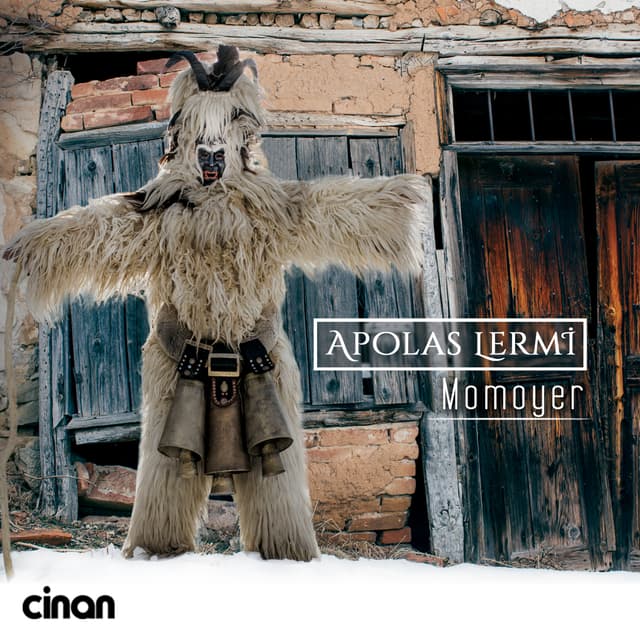 Album cover art for Momoyer
