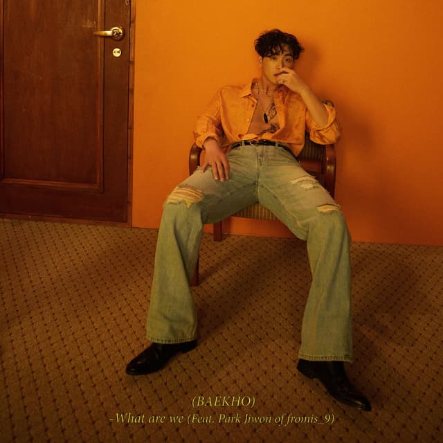 Album cover art for What Are We