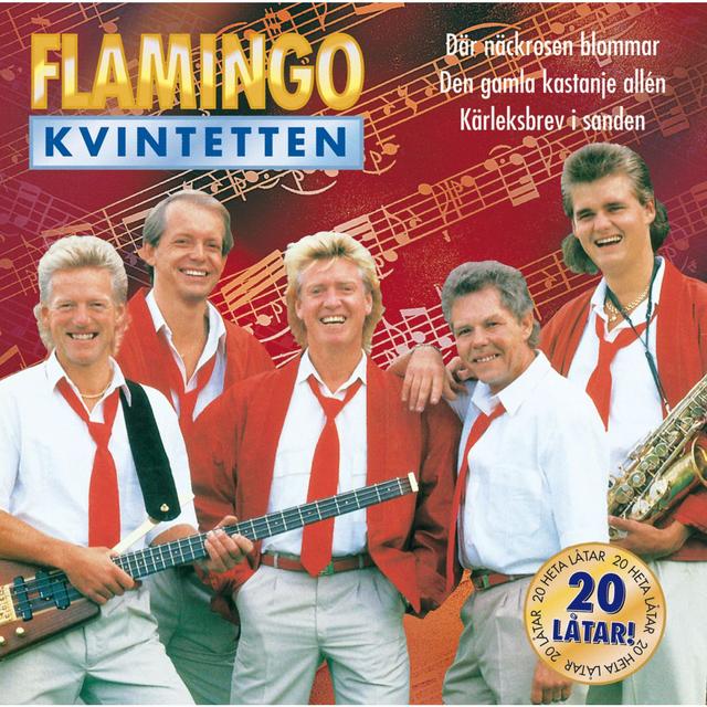 Album cover art for Flamingokvintetten - 20 bästa