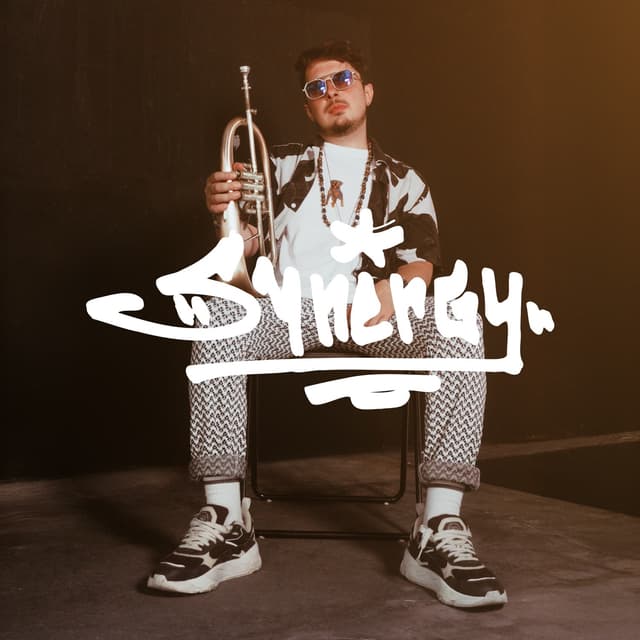 Album cover art for Synergy
