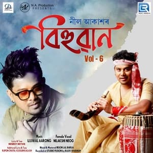 Album cover art for Bihuwan 6