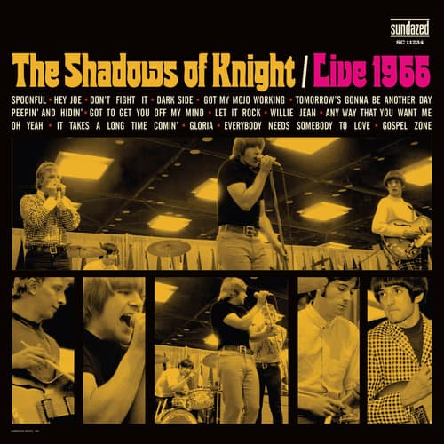 Album cover art for Live 1966