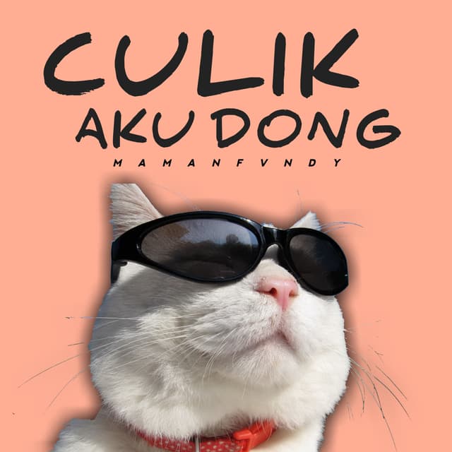 Album cover art for Culik Aku Dong