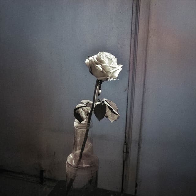 Album cover art for Senden Uzak