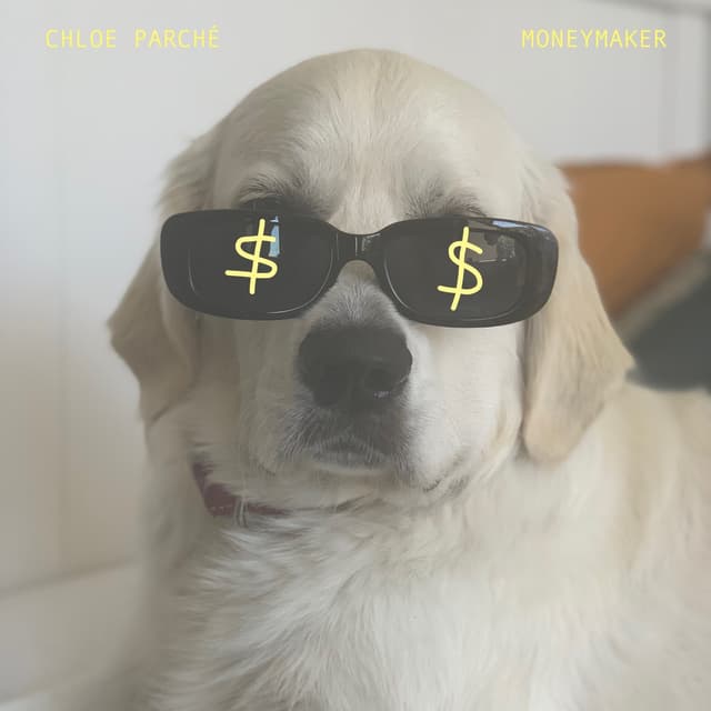 Album cover art for Moneymaker