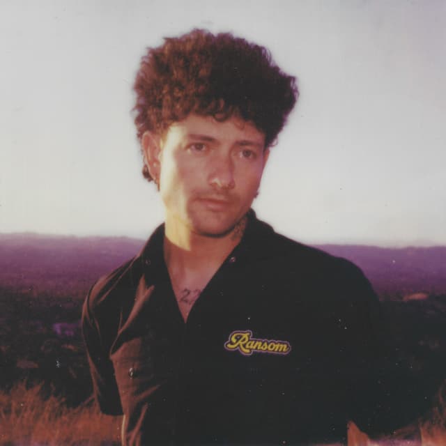 Album cover art for Too Good to be True