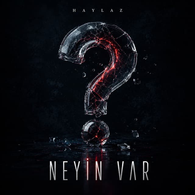 Album cover art for Neyin Var