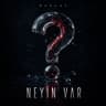 Neyin Var