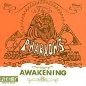 Album cover art for The Awakening