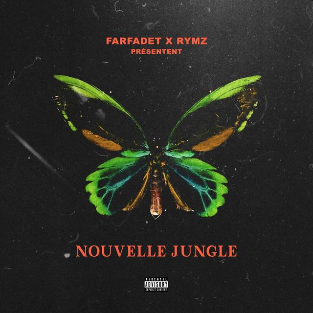 Album cover art for Nouvelle Jungle