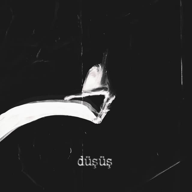 Album cover art for Düşüş