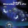 Wonder of Life