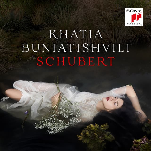 Album cover art for Schubert