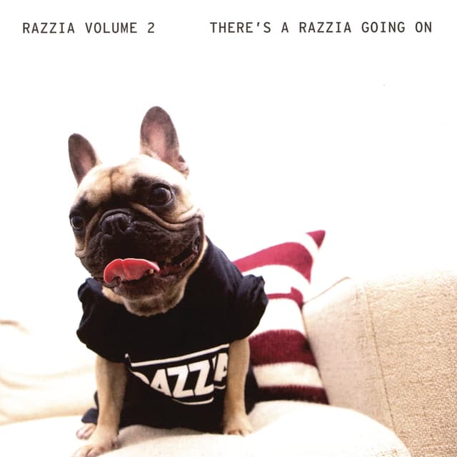 Album cover art for Razzia vol 2 - There's A Razzia Going On