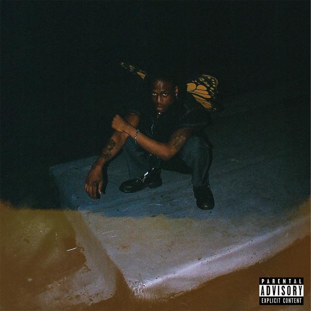 Album cover art for Butterflies, Pt. 2