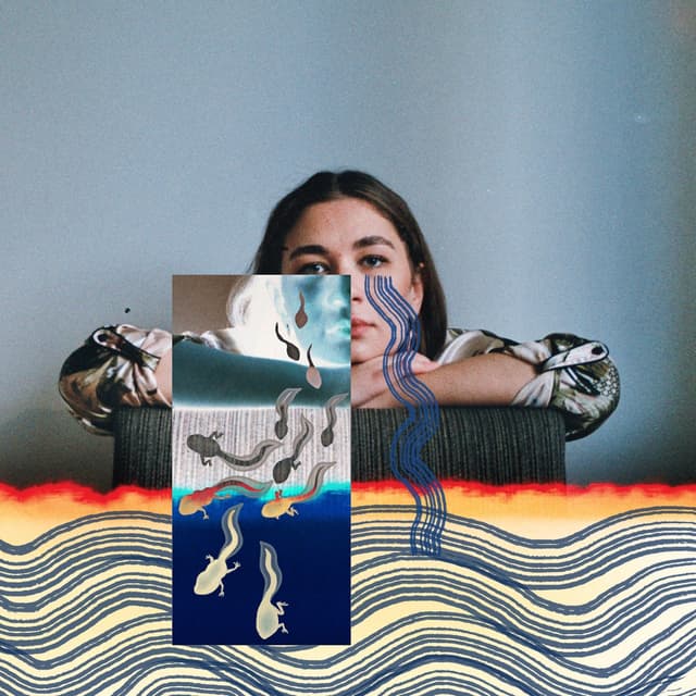 Album cover art for Maris Pihlap