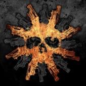 Album cover art for Beyond Coma and Despair