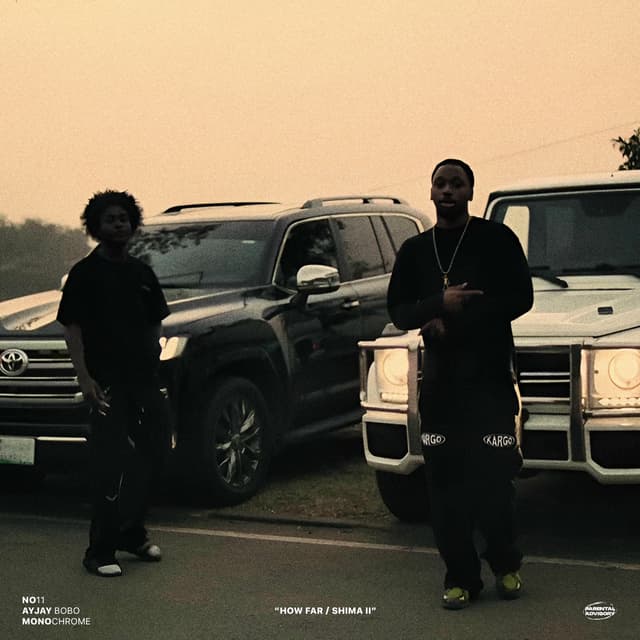 Album cover art for HOW FAR / SHIMA II