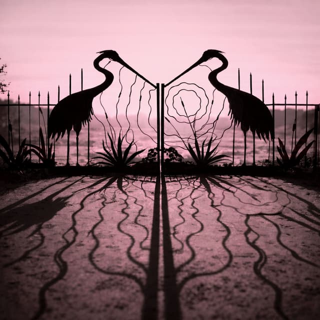 Album cover art for Soft Control