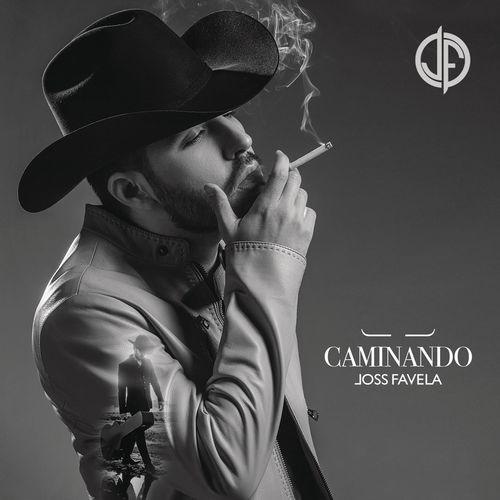 Album cover art for Caminando