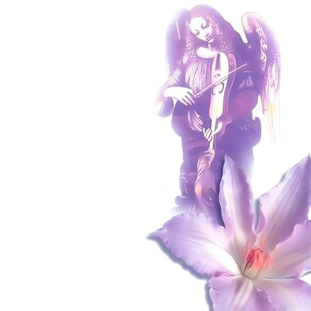 Album cover art for Voyage Sans Retour