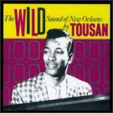 The Wild Sound Of New Orleans