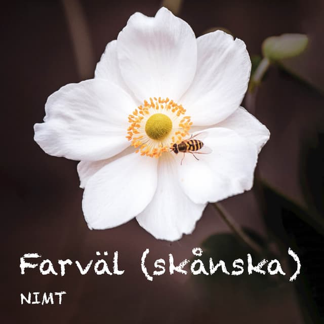 Album cover art for Farväl (skånska)