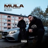 Album cover art for MULA