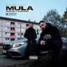 Mula