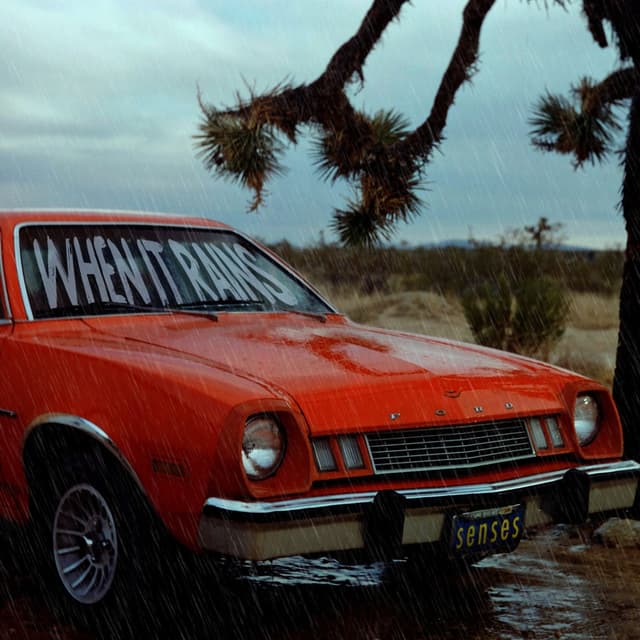 Album cover art for When It Rains