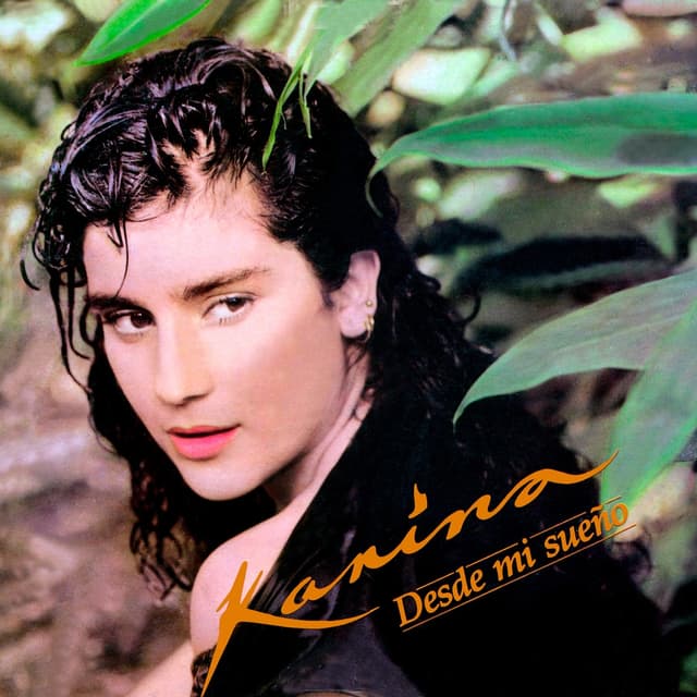 Album cover art for Desde Mi Sueño