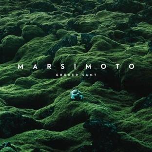 Album cover art for Grüner Samt