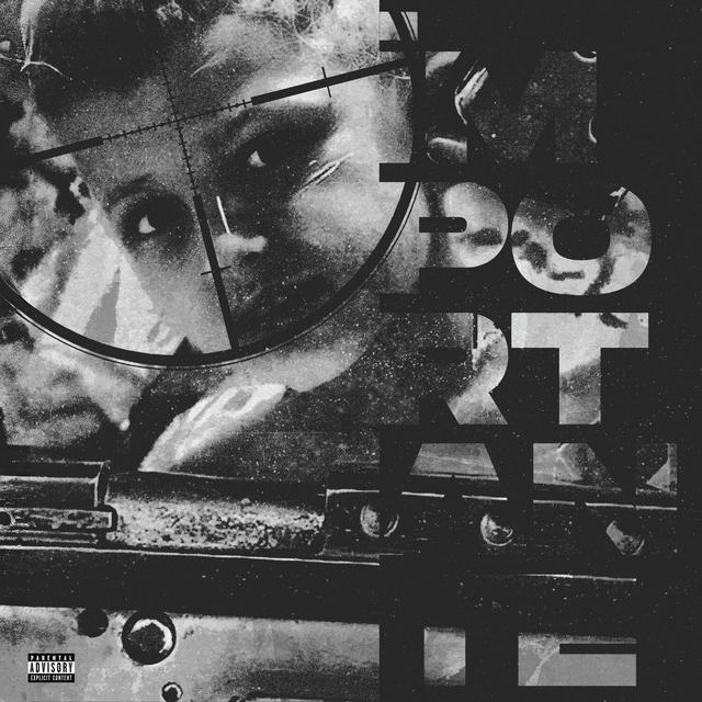 Album cover art for IMPORTANTE