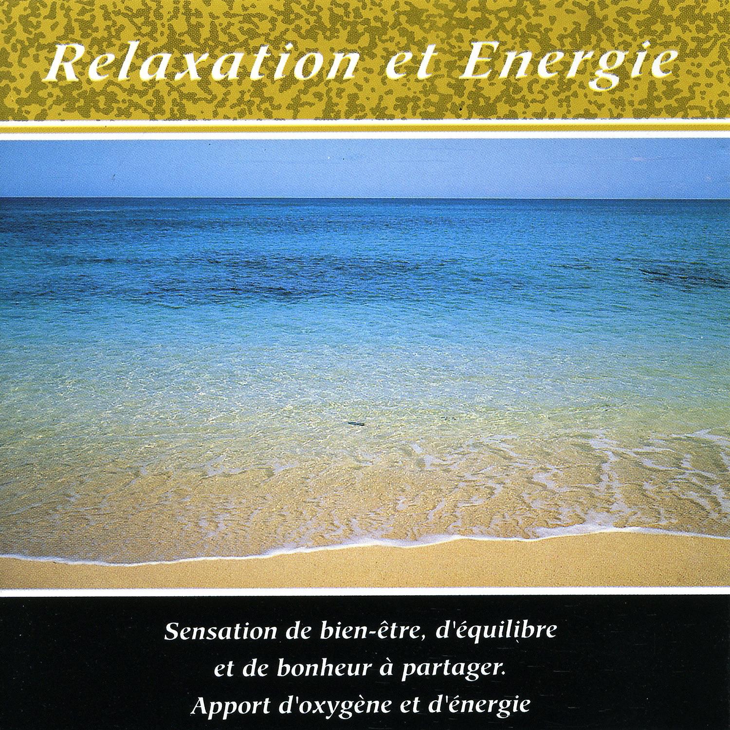 Vol. 3: Relaxation And Energy (relaxation Et Energie)