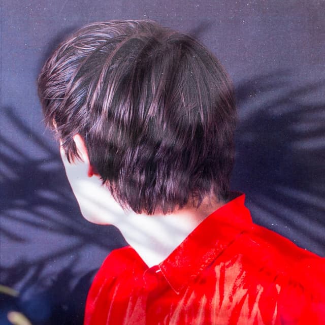 Album cover art for Hamburg Style