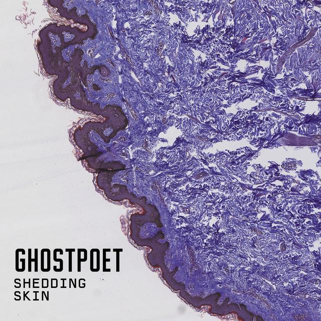 Album cover art for Shedding Skin