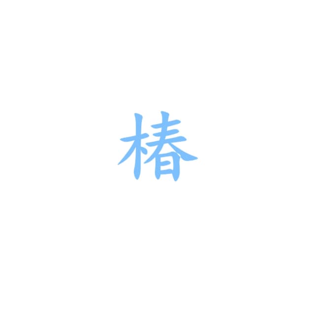 Album cover art for 椿