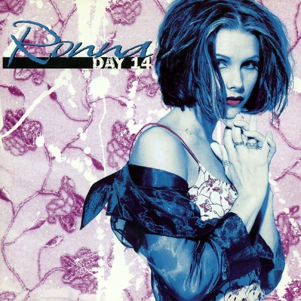 Album cover art for Day 14