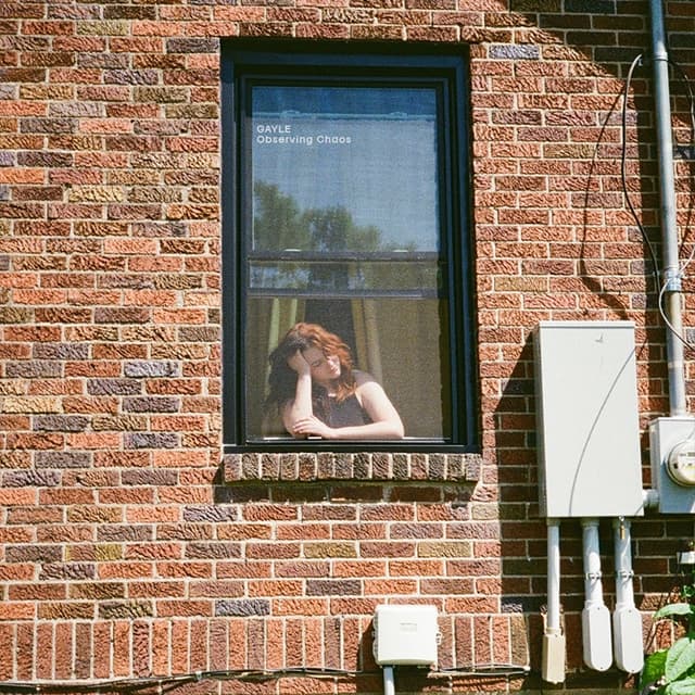 Album cover art for junebug!