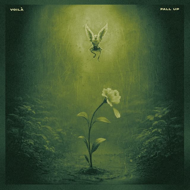 Album cover art for Fall Up