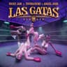 Las Gatas [Dembow]