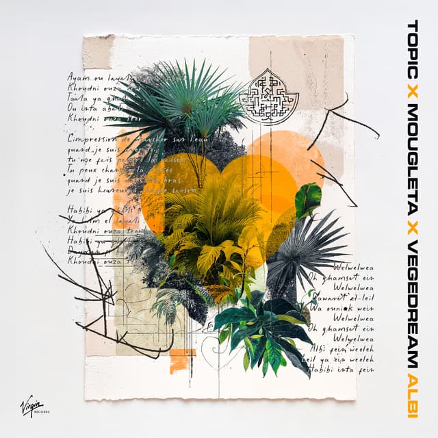 Album cover art for Albi